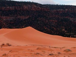 Bocah 13 Tahun Meninggal Usai Terkubur di Lubang yang Dia Gali Sendiri