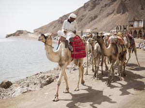 Mengenal Keadaan Geografis Mesir, Ada Daerah Depresi Kontinental Mengenal Keadaan Geografis Mesir, Ada Daerah Depresi Kontinental