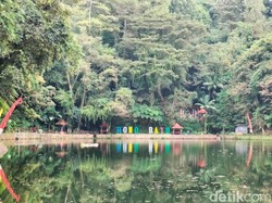 Saat Kades Bayu Banyuwangi Bongkar Lokasi KKN Desa Penari, Simak Kisahnya!