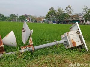 Ambruk, Alat Perangkap Wereng di Cawas Klaten Kini Mangkrak