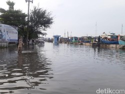 BMKG Ungkap Penyebab Banjir Rob Terjang Pantura Jateng