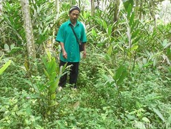 Dikira Babi Hutan, Petani di Banjarnegara Ditembak Pemburu