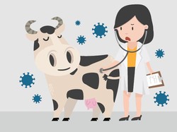 15 Provinsi Terpapar Penyakit Mulut dan Kuku