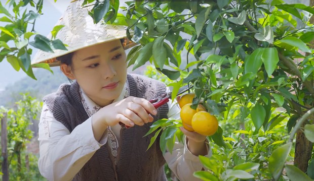 Konten pedesaan Dianxi Xioage/ Foto: youtube.com/滇西小哥 Dianxi Xiaoge Konten pedesaan Dianxi Xioage/ Foto: youtube.com/滇西小哥 Dianxi Xiaoge