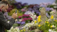 Menikmati Indahnya Bunga Bermekaran di Chelsea Flower Show