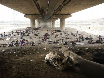 Panas Ekstrem di India Bikin Tunawisma Ngadem di Kolong Jembatan