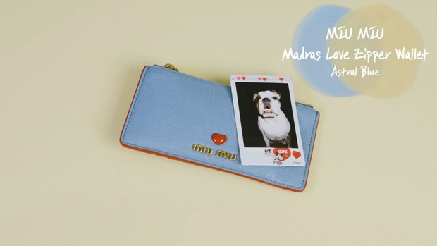 Potret Dompet berisikan foto film anjing peliharaan