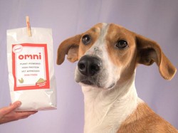 Siapa Mau? Makan Makanan Anjing Selama 5 Hari Digaji Rp 92 Juta