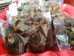 Transformasi Bekicot, Dulu Dinistakan Kini Datangkan Cuan