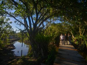 Keren! Desa Wisata Terbaik Indonesia Ini Ada di Sumbar