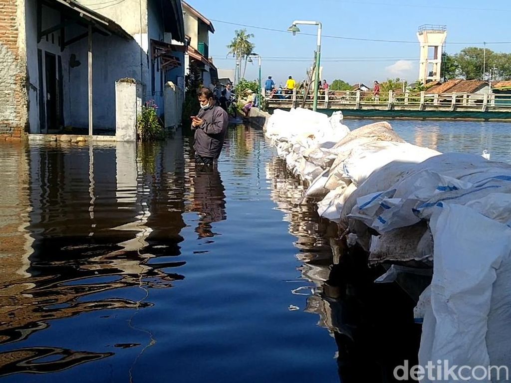 Sempat Surut, Banjir Rob Kembali Rendam Pemukiman di Pekalongan