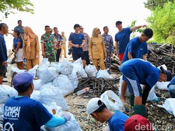 Banyuwangi-Sungai Watch Bersihkan Sungai Alas Purwo untuk WSL