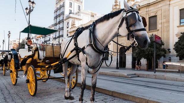Kota Yogyakarta dan Solo yang menjadi kota biaya hidup termurah di Indonesia.