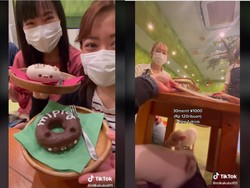 Seru! Makan dan Minum di Kafe Ini Bakal Ditemani Gerombolan Babi