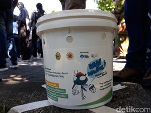 Peneliti Nyamuk Wolbachia Jogja Bantah Didanai Yayasan Bill Gates Peneliti Nyamuk Wolbachia Jogja Bantah Didanai Yayasan Bill Gates
