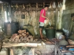 Suka Duka Perajin Arak Karangasem, Kini Galau Karena Paceklik Tuak