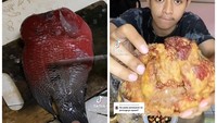 Goreng Ikan Louhan untuk Makan, Netizen Ini Ungkap Rasanya