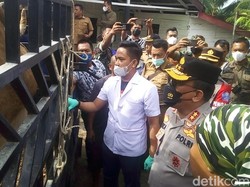 Cegah PMK, Mobil Bawa Sapi di Perbatasan Aceh-Sumut Diputar Balik