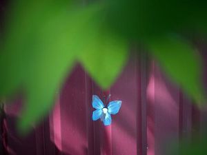 Bekas Lubang Peluru di Ukraina Jadi Kreatifitas Lukisan, Ini Hasilnya