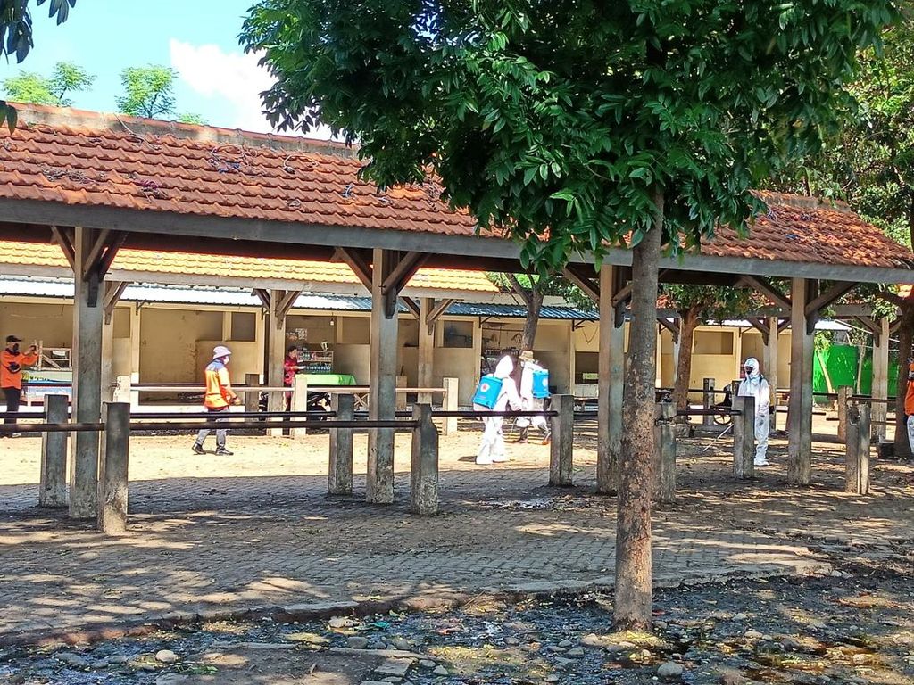 Pasar Hewan Kota Probolinggo Disemprot Dampak Sapi Mati PMK Pasar Hewan Kota Probolinggo Disemprot Dampak Sapi Mati PMK