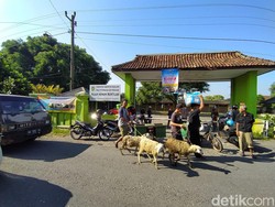 Pasar Hewan Magelang Ditutup, Pedagang Jualan Kambing di Pinggir Jalan