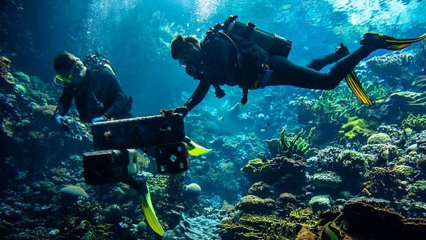 Lihat Nih, Belanda Bikin Karang Buatan yang Meniru Terumbu Alami di RI