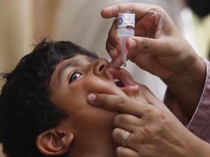 Lingkungan Tercemar Tinja Jadi Penyebab Penyakit Polio Lingkungan Tercemar Tinja Jadi Penyebab Penyakit Polio