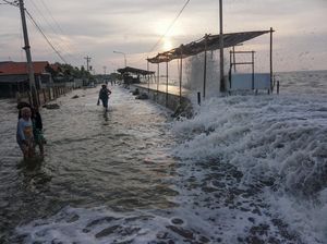 Waspada! Potensi Gelombang Tinggi-Banjir Rob Pesisir Utara Jateng 16-18 Juni