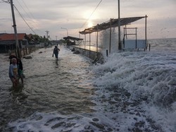 Waspada! Potensi Gelombang Tinggi-Banjir Rob Pesisir Utara Jateng 16-18 Juni