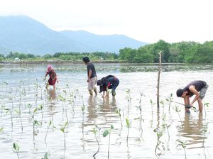 CarbonX Genjot Energi Ramah Lingkungan, Begini Caranya