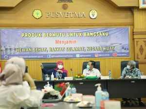 15 Daerah Bebas PMK di Jatim Bisa Suplai Kebutuhan Daging Sapi