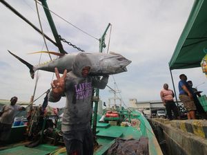 Mei 2022, PNBP Sektor Perikanan Tembus di Angka Rp 512,38 Miliar