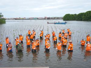 Karyawan Pupuk Kaltim Tanam 1.500 Bibit Mangrove di Perairan Bontang Karyawan Pupuk Kaltim Tanam 1.500 Bibit Mangrove di Perairan Bontang