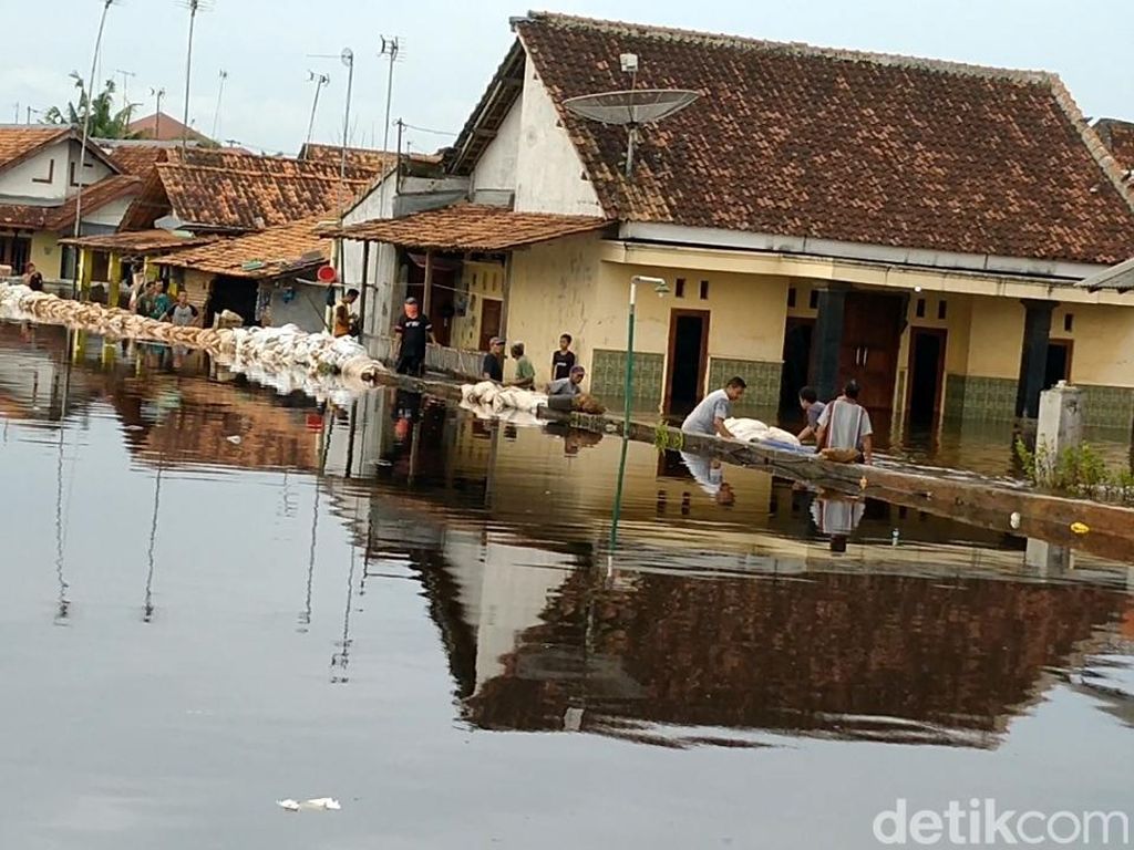 Pemerintah Diminta Bangun Tanggul Baru Cegah Banjir Rob Pantura Terulang