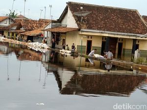 Pemerintah Diminta Bangun Tanggul Baru Cegah Banjir Rob Pantura Terulang Pemerintah Diminta Bangun Tanggul Baru Cegah Banjir Rob Pantura Terulang