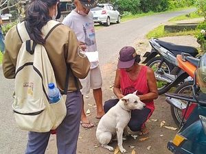 Rabies Kembali Makan Korban di Jembrana Bali, 1 Warga Tewas Rabies Kembali Makan Korban di Jembrana Bali, 1 Warga Tewas