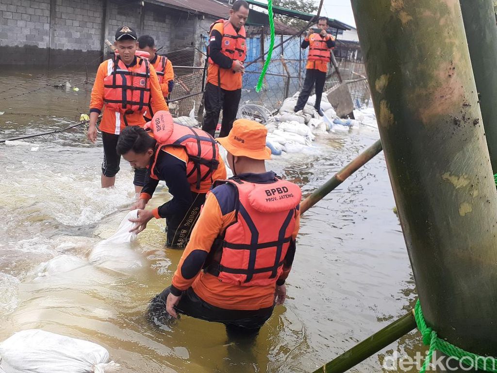 Banjir Rob Ekstrem di Pelabuhan Tanjung Emas Semarang, Ada 3 Tanggul Jebol