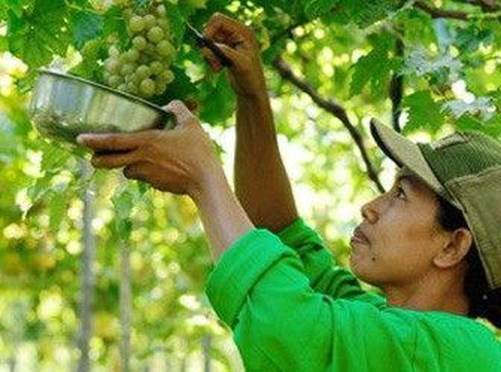Loker Bali, PT Sababay Industry Buka Lowongan Operator Produksi Loker Bali, PT Sababay Industry Buka Lowongan Operator Produksi
