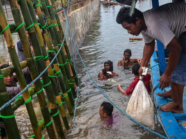 Ribuan Karung Pasir Tambal Tanggul Jebol di Tanjung Emas, Ini Fotonya