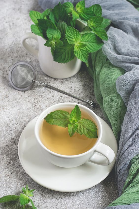 teh ini berasal dari daun mint