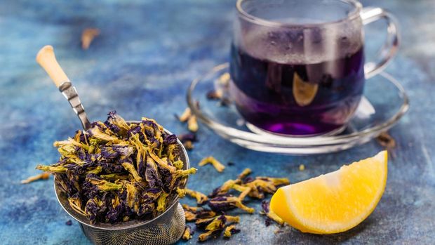 Ilustrasi teh telang