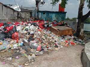 DLHK Depok soal Sampah Dekat Situ Rawa Besar: Akan Diangkut, tapi... DLHK Depok soal Sampah Dekat Situ Rawa Besar: Akan Diangkut, tapi...