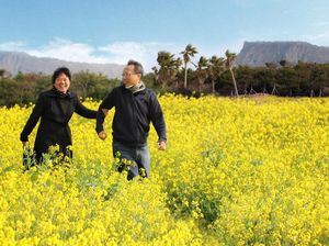 Wisata di Korea, Keliling Lokasi Syuting K-Drama Video Klip BTS, Mulai Rp 9 Jutaan