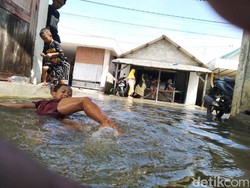 Bocah 6 Tahun di Gresik Dipatuk Ular Saat Main Air Banjir Rob