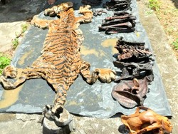 Perjalanan Eks Bupati Bener Meriah: Ditangkap, Dilepas Lalu Tersangka