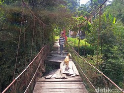 Cerita Mengerikan Jembatan Gantung Reyot di Toraja Ancam Keselamatan Warga