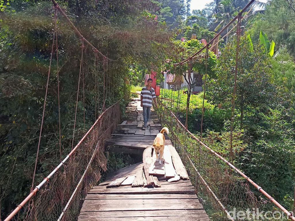 Menengok Jembatan Gantung Reyot di Toraja Tempat Pelajar Bertaruh Nyawa