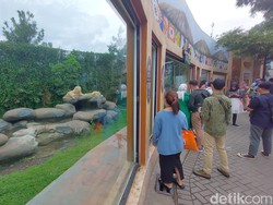 Lalu Lintas di Lembang Ramai, Tempat Wisata Meriah