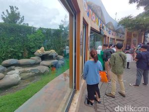 Lalu Lintas di Lembang Ramai, Tempat Wisata Meriah Lalu Lintas di Lembang Ramai, Tempat Wisata Meriah