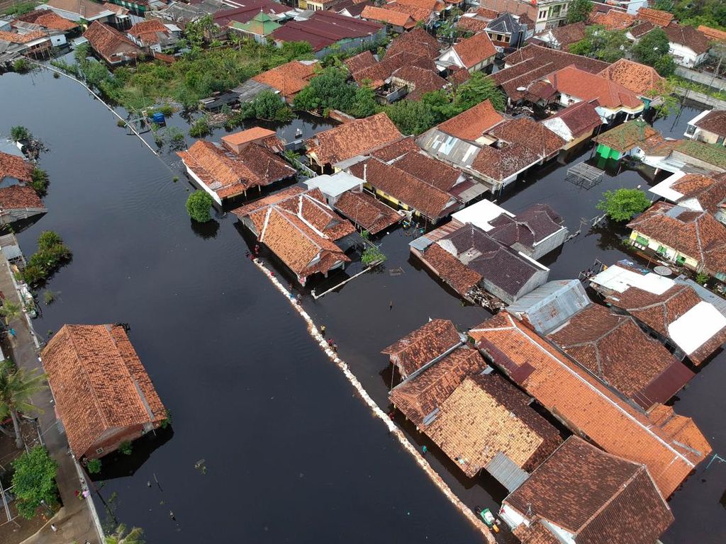 Lihat Lagi Saat Banjir Rob Rendam Permukiman Warga di Pekalongan Lihat Lagi Saat Banjir Rob Rendam Permukiman Warga di Pekalongan